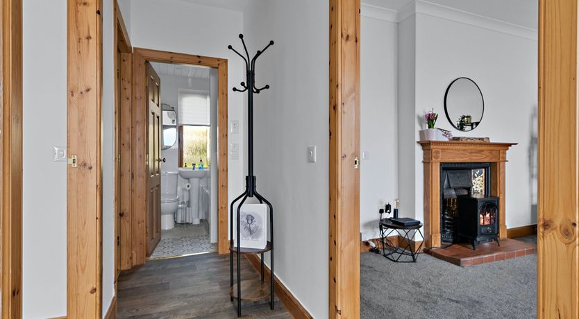 Photo of Majestic Moray