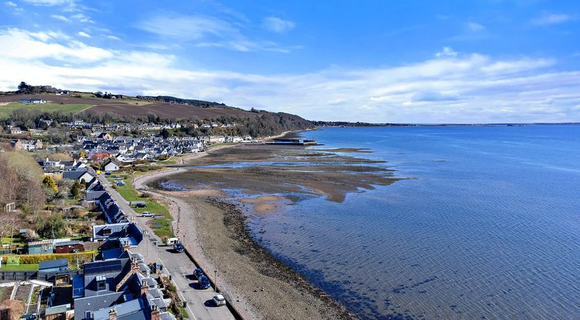 Photo of Majestic Moray