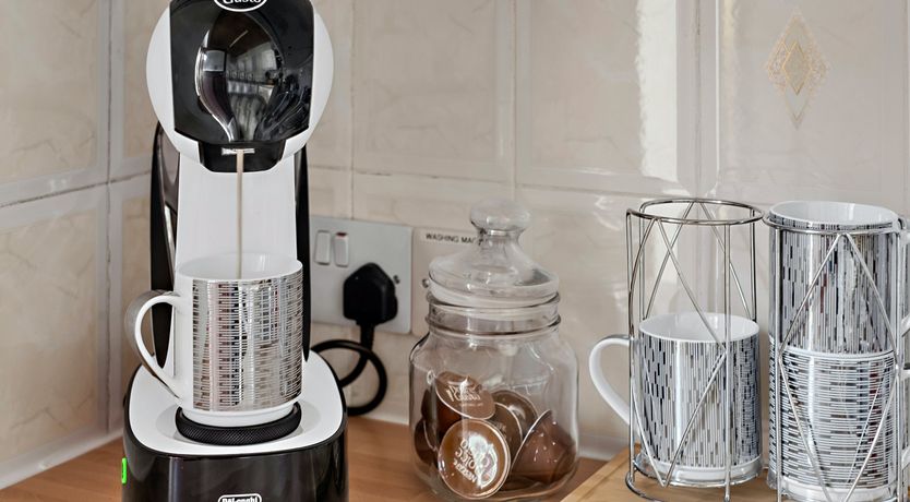 Photo of Majestic Moray