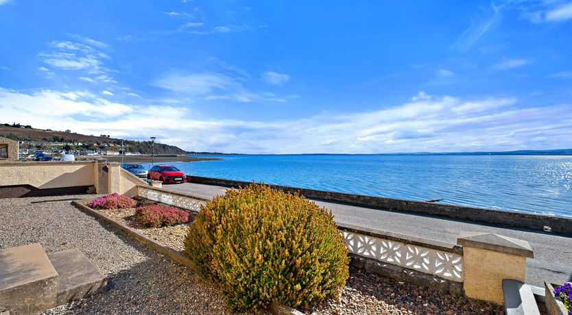 Photo of Majestic Moray