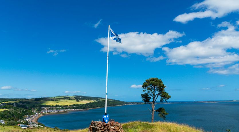 Photo of Majestic Moray