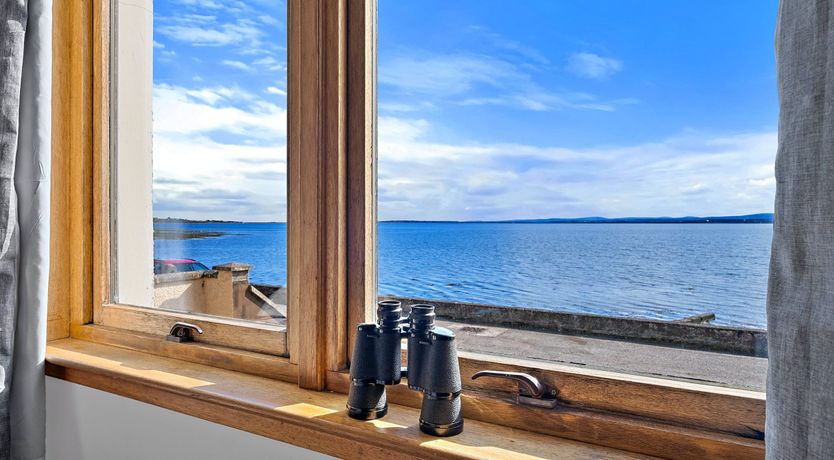 Photo of Majestic Moray