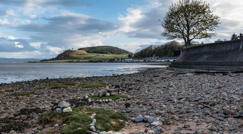 Photo of Majestic Moray