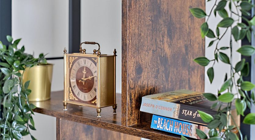 Photo of Majestic Moray