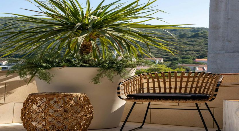 Photo of Enchanted Horizon