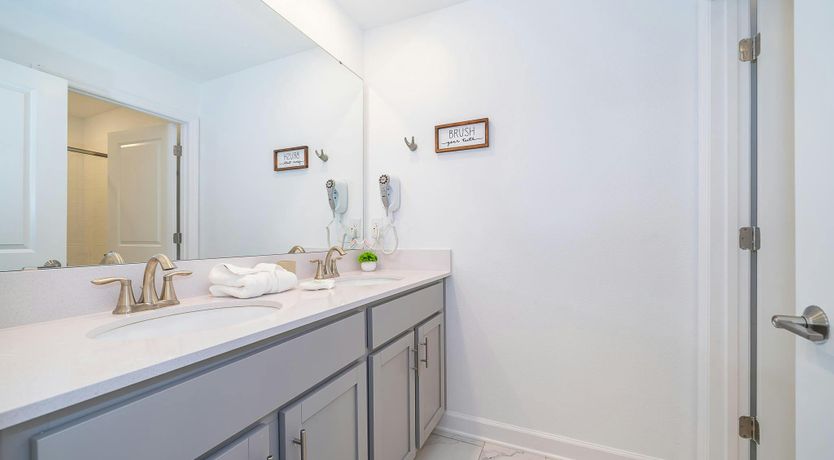 Photo of Coral Reef Dreams