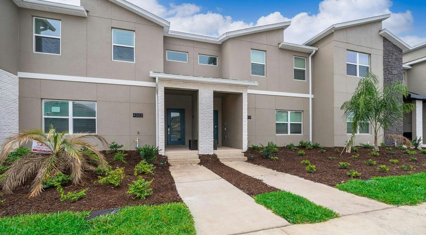 Photo of Coral Reef Dreams