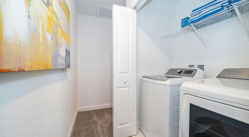 Photo of Coral Reef Dreams