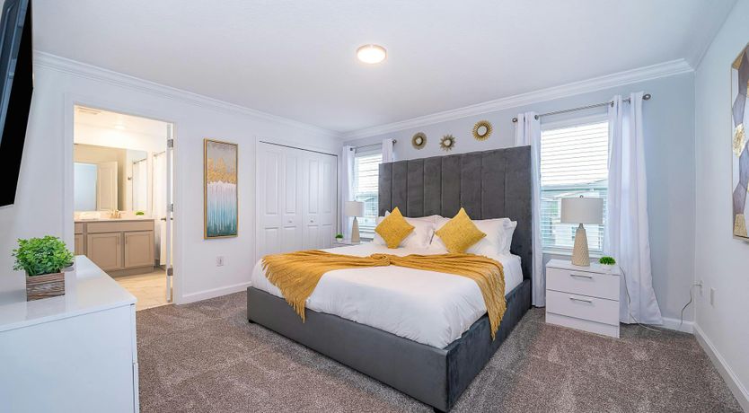 Photo of Coral Reef Dreams