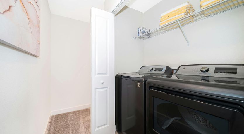 Photo of Floridian Dream