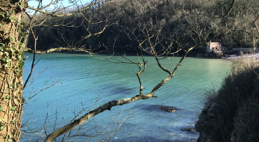 Photo of Breezy Bay Retreat