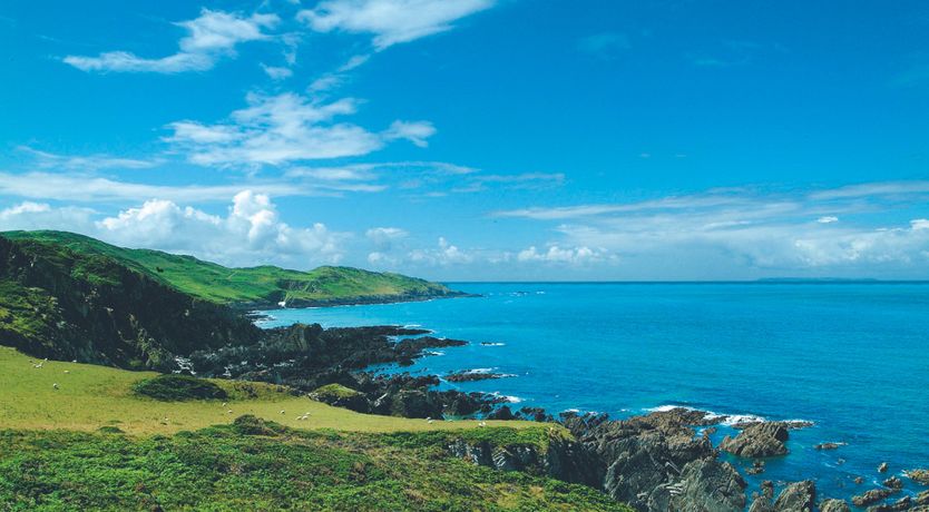 Photo of Lighthouse Haven