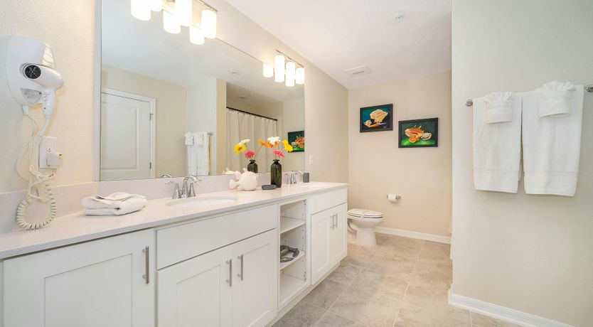 Photo of Palm Tree Memories