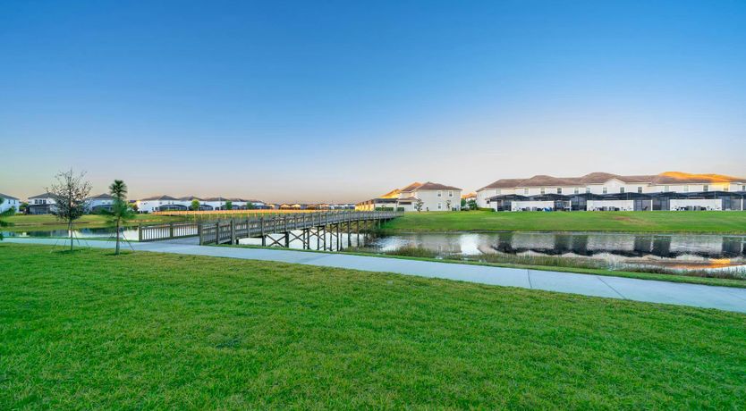 Photo of Palm Tree Memories