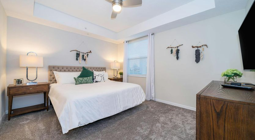 Photo of Palm Tree Memories