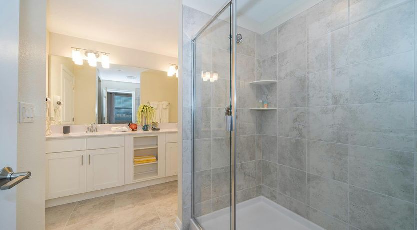 Photo of Palm Tree Memories