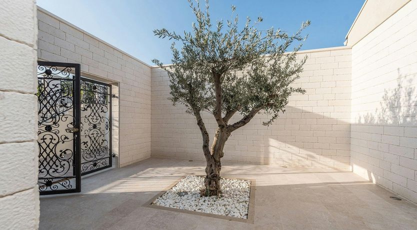 Photo of View from the Roof