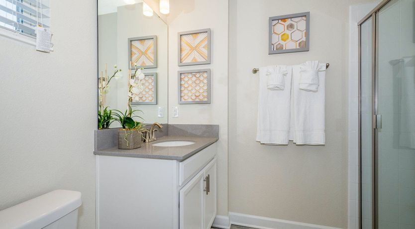 Photo of The Swamp Song