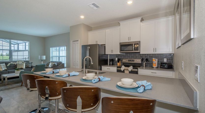 Photo of The Swamp Song