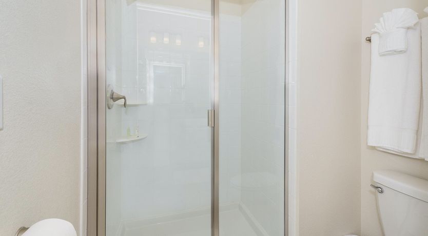 Photo of The Swamp Song