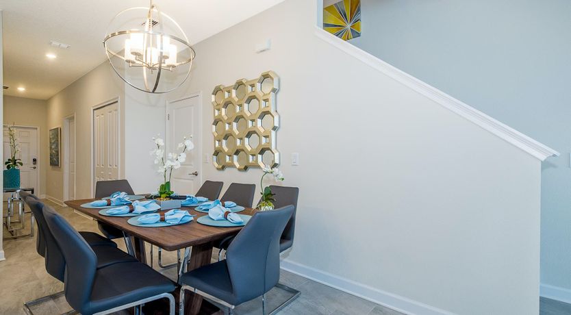 Photo of The Swamp Song