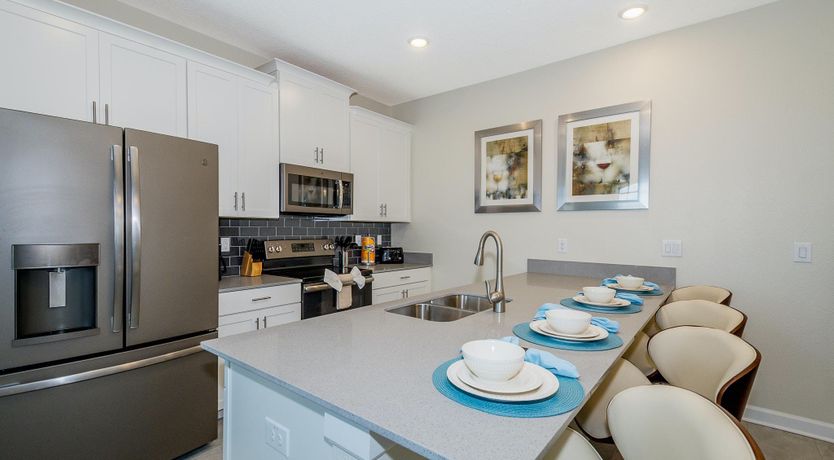 Photo of The Swamp Song