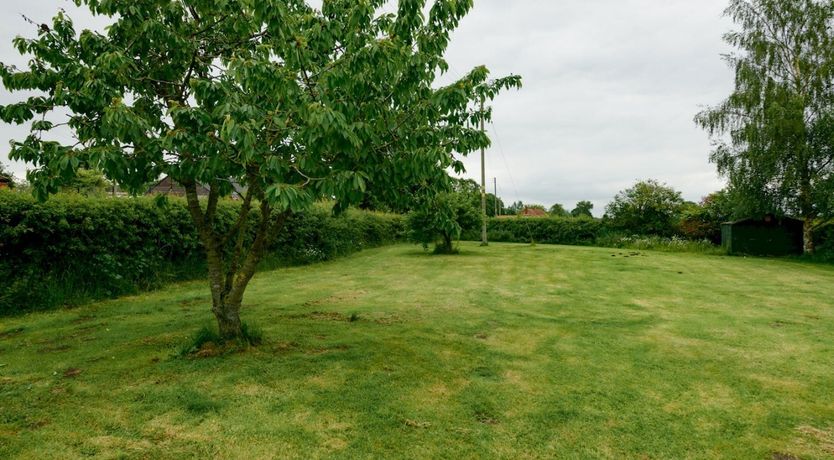 Photo of Wold Wonder