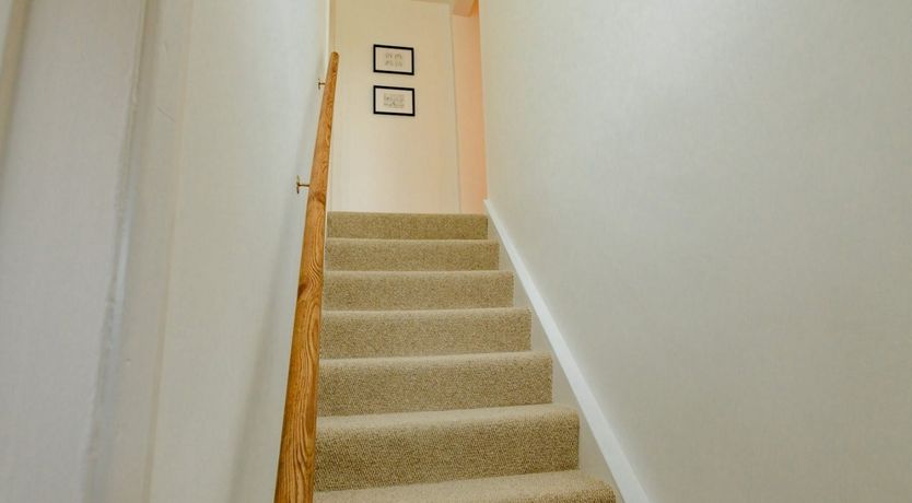 Photo of Wold Wonder