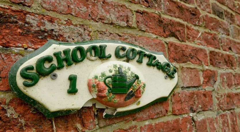 Photo of Wold Wonder