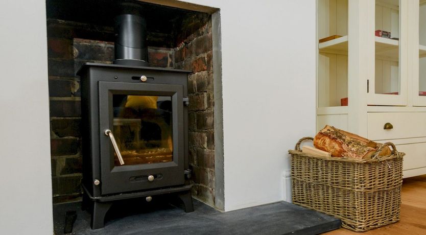 Photo of Wold Wonder