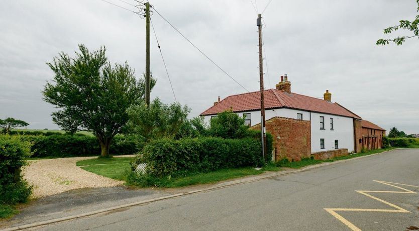 Photo of Wold Wonder