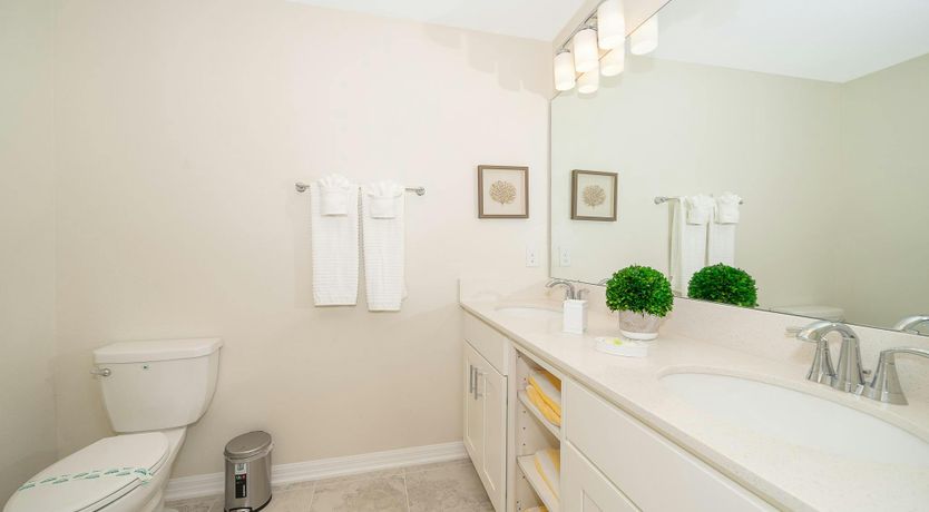 Photo of The Sea Dragon