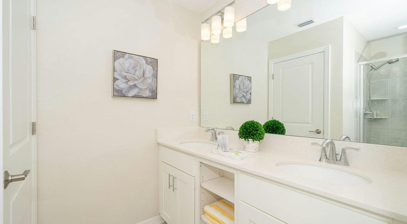 Photo of The Sea Dragon