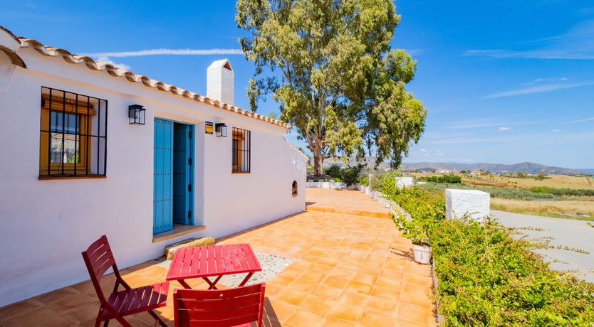 Photo of The Blue Melody