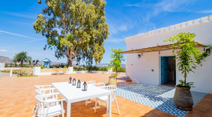 Photo of The Blue Melody