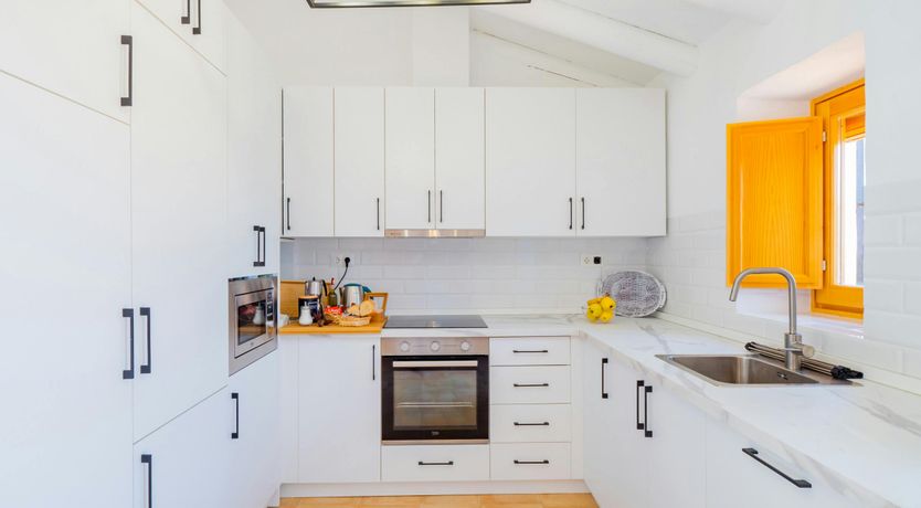 Photo of The Blue Melody