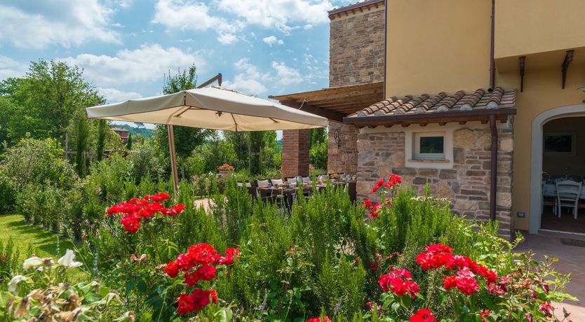 Photo of Gemini's Dream