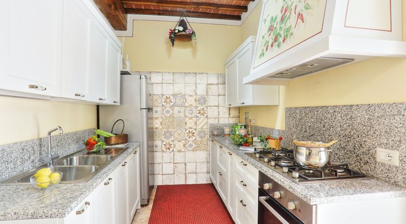 Photo of Gemini's Dream