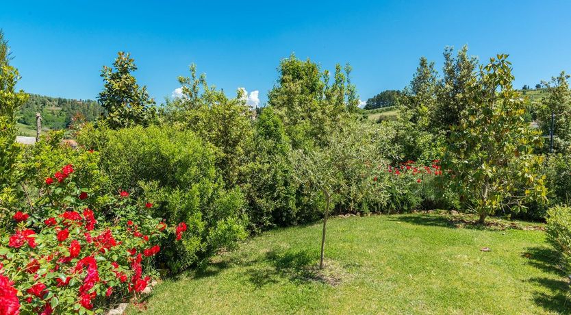 Photo of Gemini's Dream