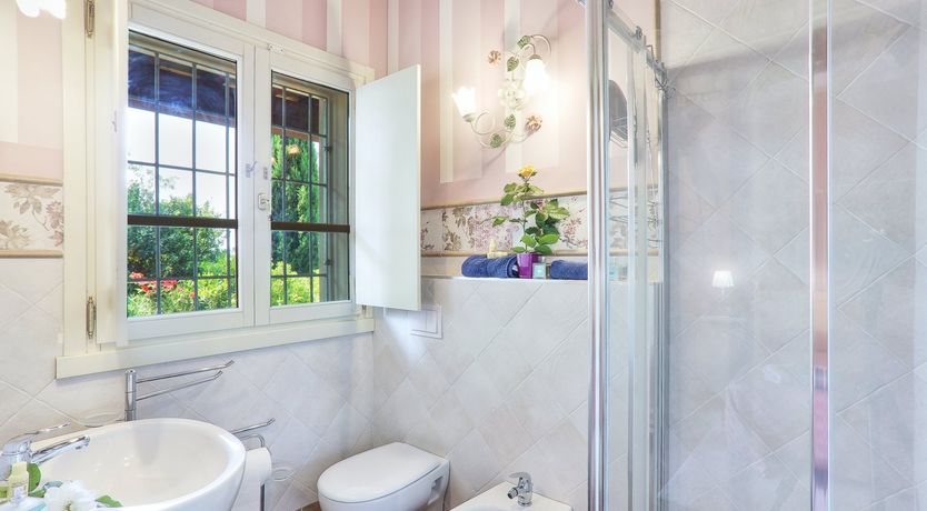 Photo of Gemini's Dream