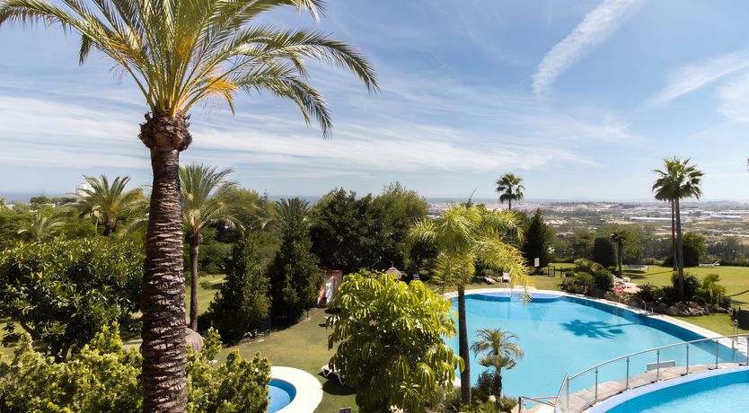 Photo of Radiant Horizon