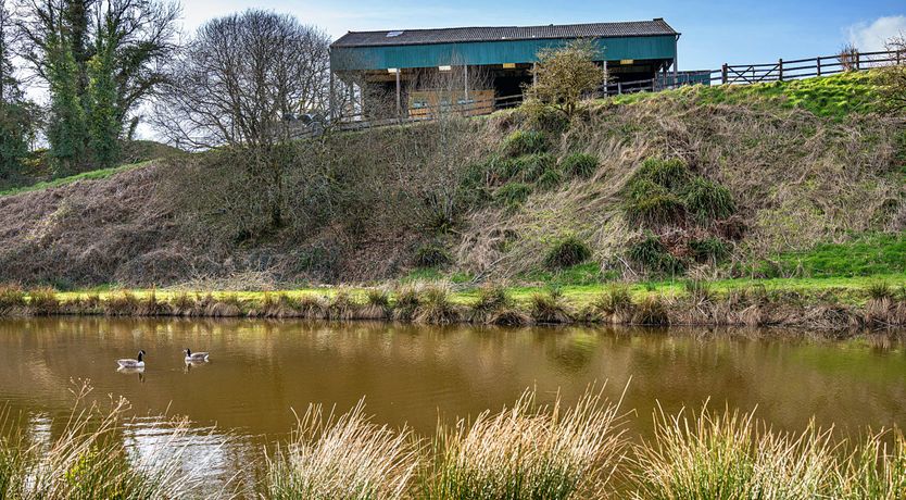 Photo of Shepherd's Serenity