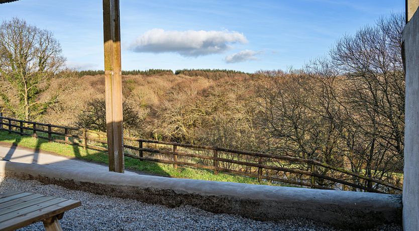 Photo of Shepherd's Serenity