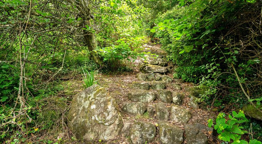 Photo of Clifftop Charm