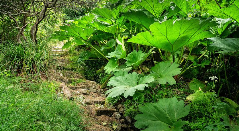 Photo of Clifftop Charm