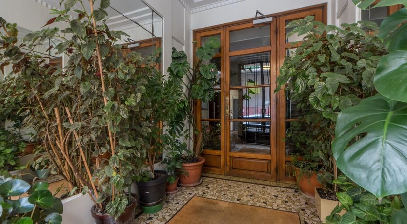 Photo of Serenity in the City of Love