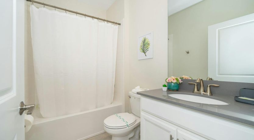 Photo of Disney Daydreams