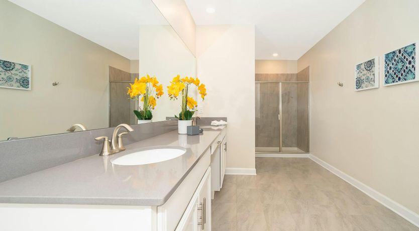 Photo of Disney Daydreams