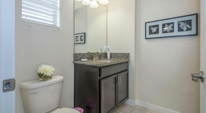 Photo of Coral Ragtime