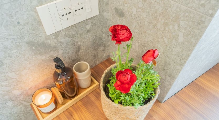 Photo of A Taste of Italy